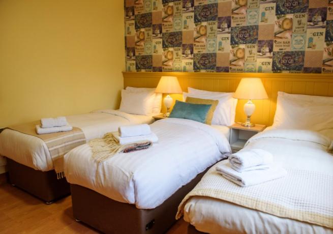 Stag Party self-catering accommodation with The Waterside Houses in Carrick-on-shannon